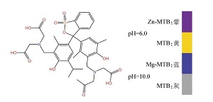 基于AI视觉辅助技术与pH传感的锌镁离子连续滴定分析<sup>*</sup>