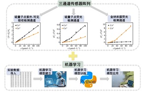 基于机器学习的化学研究性实验<sup>*</sup>——三通道光谱技术同时检测Co<sup>2+</sup>及Cu<sup>2+</sup>
