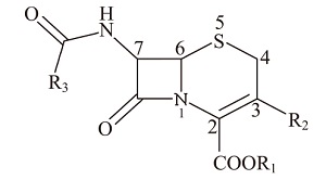 高中化学“羧酸及其衍生物复习”项目式教学<sup>*</sup>——基于性能需求修饰药物分子结构