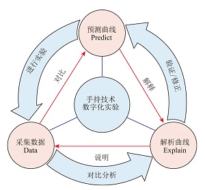 教育数字化时代下的实验教学:PDE教学策略的构建与实践<sup>*</sup>