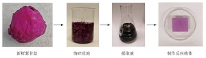 酸碱反应、配合物及水解反应的多彩可视化微型实验设计——基于花青素的结构与性质