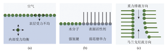 培养科学探究与实践能力的分子间作用力趣味实验——探究泡泡液的最佳配方