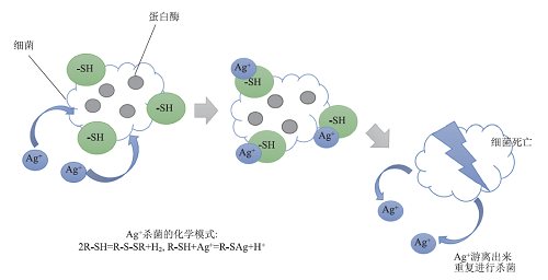 《本草纲目》中的化学知识体系与教育价值研究<sup>*</sup>