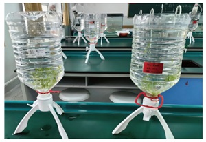 基于项目式学习的初中化学跨学科实践活动<sup>*</sup>——“小鱼陆养”水质监测与调控