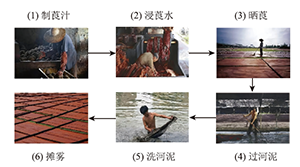 高中化学“酚类化合物性质”项目式教学<sup>*</sup>——“解码香云纱”的非遗染色智慧