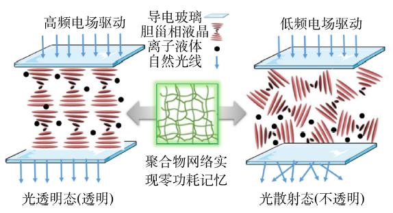化学核心素养导向的综合实验设计:双稳态液晶光阀<sup>*</sup>
